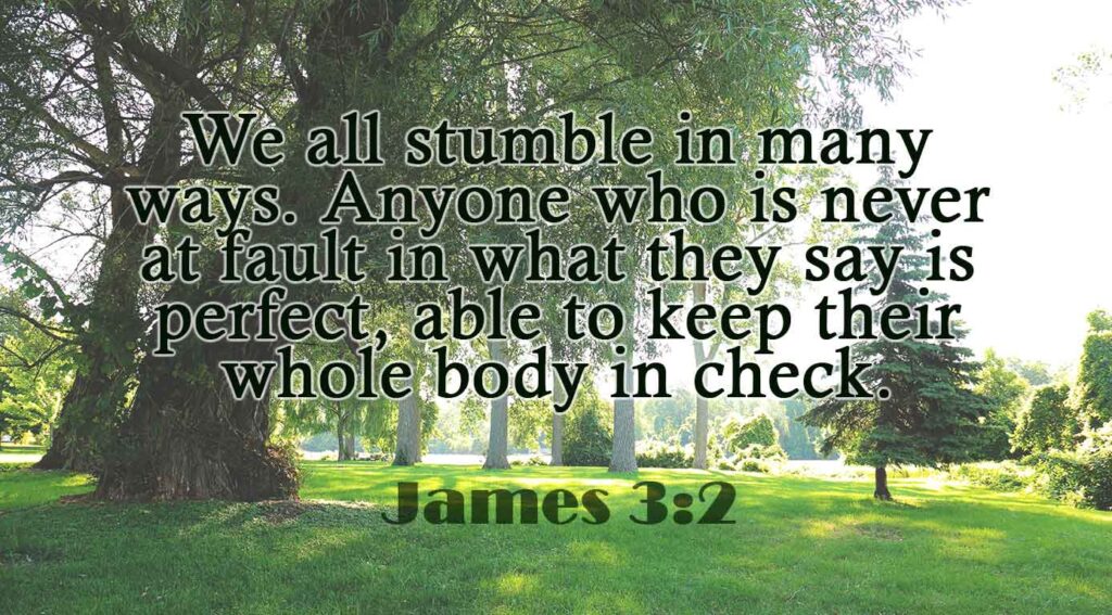 James 3:2