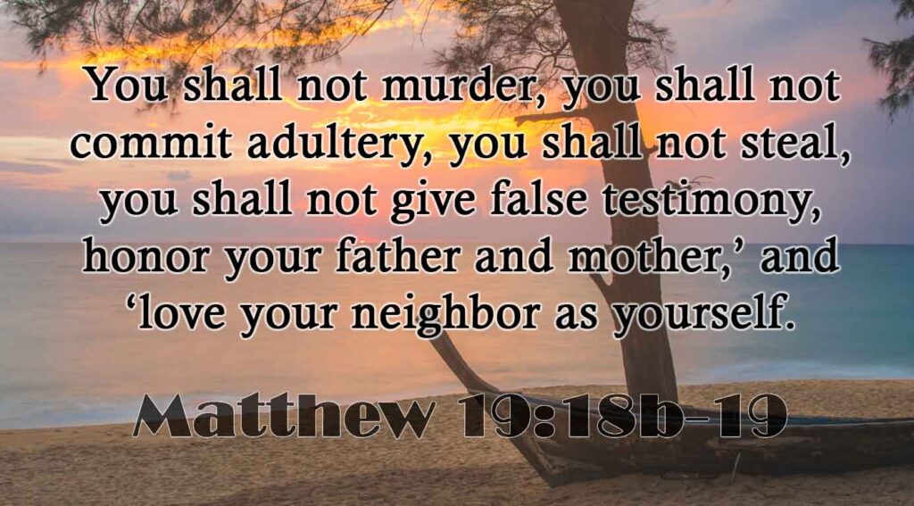 Matthew 19:18b-19