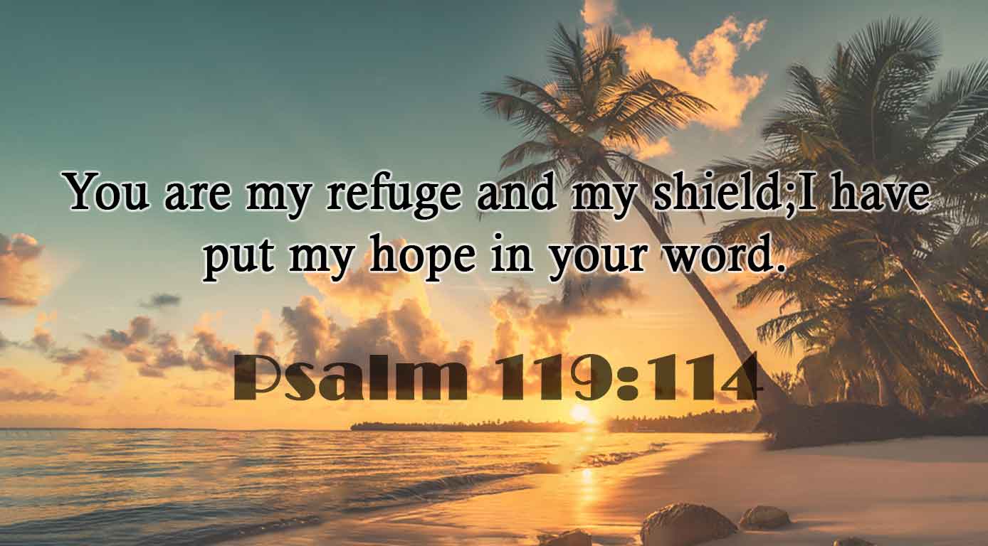 Psalm 119:114 – Catholic 