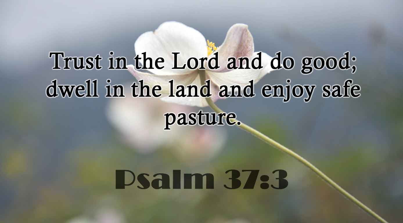 Psalm 37:3 – Catholic | San Jose Filipino Ministry