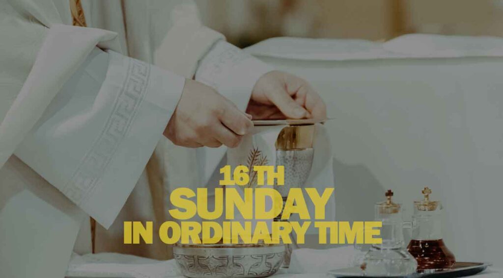 16th Sunday in Ordinary Time