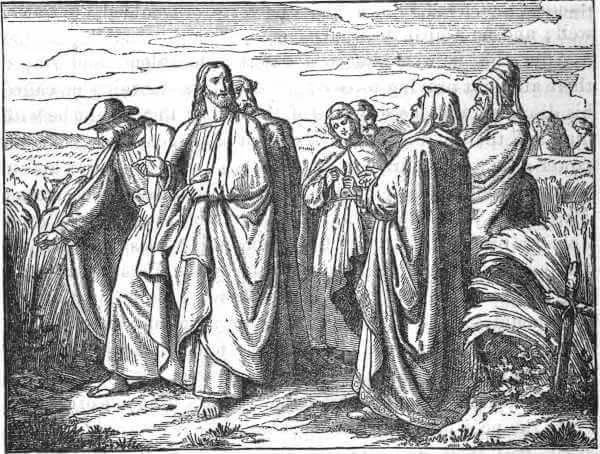 Mark 2:23-24