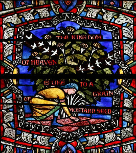 Matthew 13:31-32