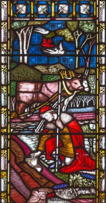 Matthew 13:44-46